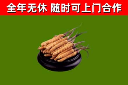 湘潭县烟酒回收冬虫夏草.jpg